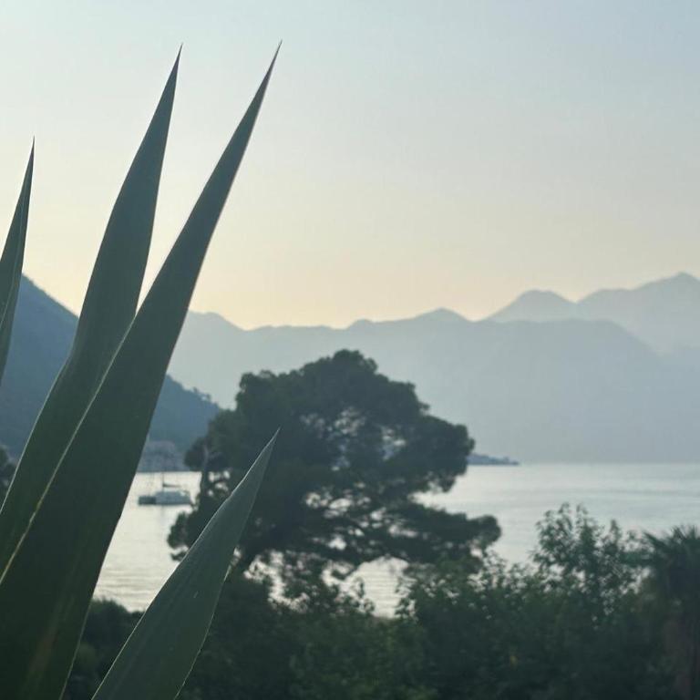 Central Kotor Bay Condo with amazing view - Two-Bedroom Apartment - 20