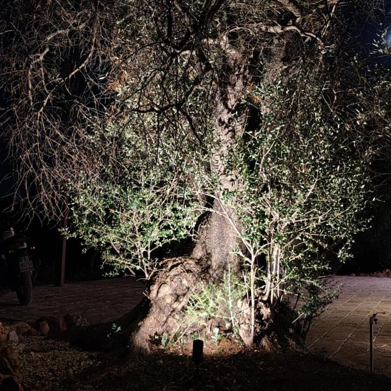 Le pietre di Puglia - Casa con 2 Camere da Letto - 58