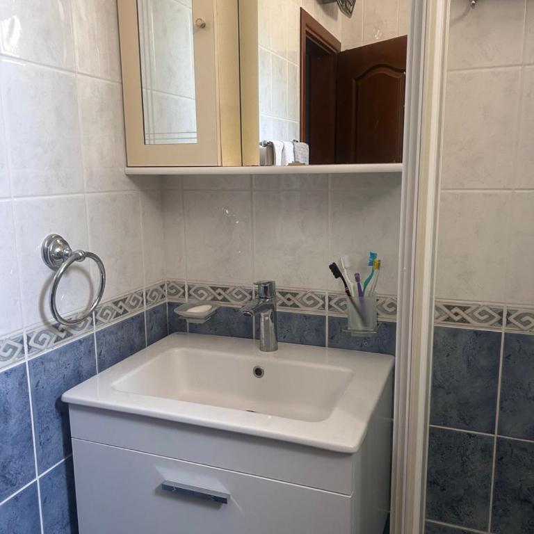 Una apartmani Petrovac - One-Bedroom Apartment with Garden View - 31
