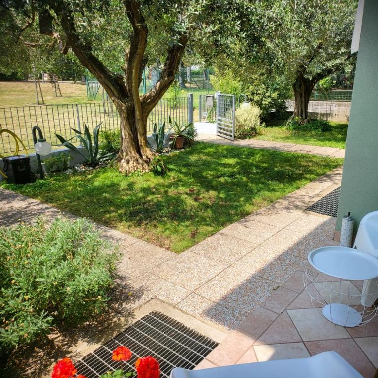 La Casa Sul Parco - Appartamento con 2 Camere da Letto - 4