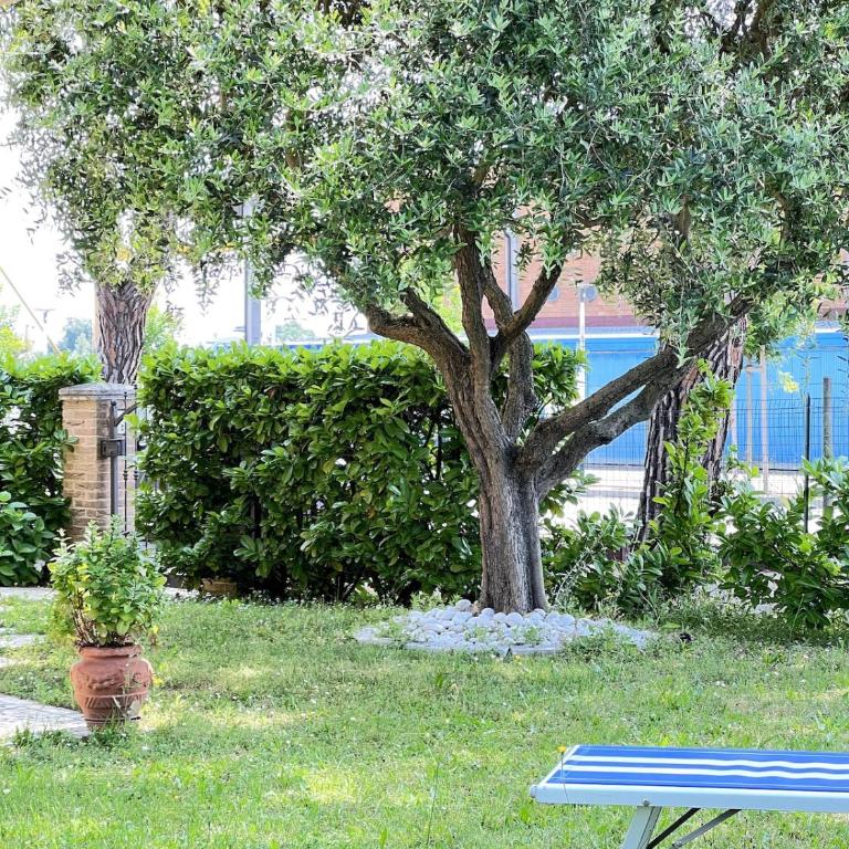 Villa Oasi Mariuccia - Relax e Mare - Villa con Vista Giardino - 20
