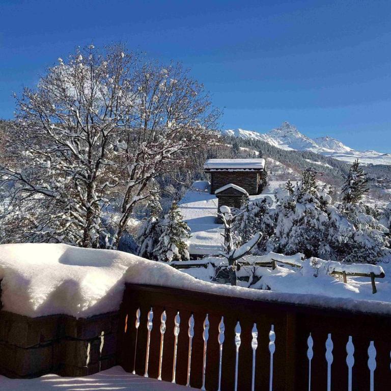 Méribel - 200 m des pistes de ski - Appartement dans chalet - parking privé - Appartement 3 Chambres - 2