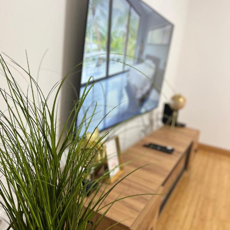 Lux Apartman - Apartman sa 1 Spavaćom Sobom - 51