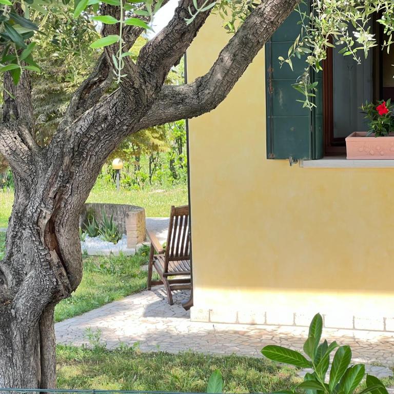 Villa Oasi Mariuccia - Relax e Mare - Villa con Vista Giardino - 24