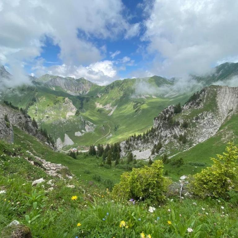 Apartment in La Chapelle near Ski Lift - Appartement 3 Chambres - 33