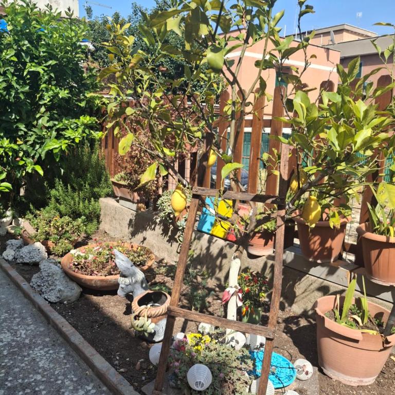 Lemon Garden Home - Apartment mit 1 Schlafzimmer - 50