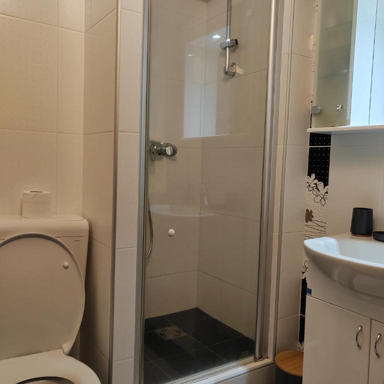 Kopaonik centar - Konaci, lux apartment ANDREA - One-Bedroom Apartment - 2