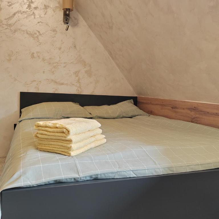 Kopaonik centar - Konaci, lux apartment ANDREA - One-Bedroom Apartment - 3