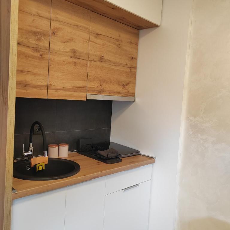 Kopaonik centar - Konaci, lux apartment ANDREA - One-Bedroom Apartment - 4