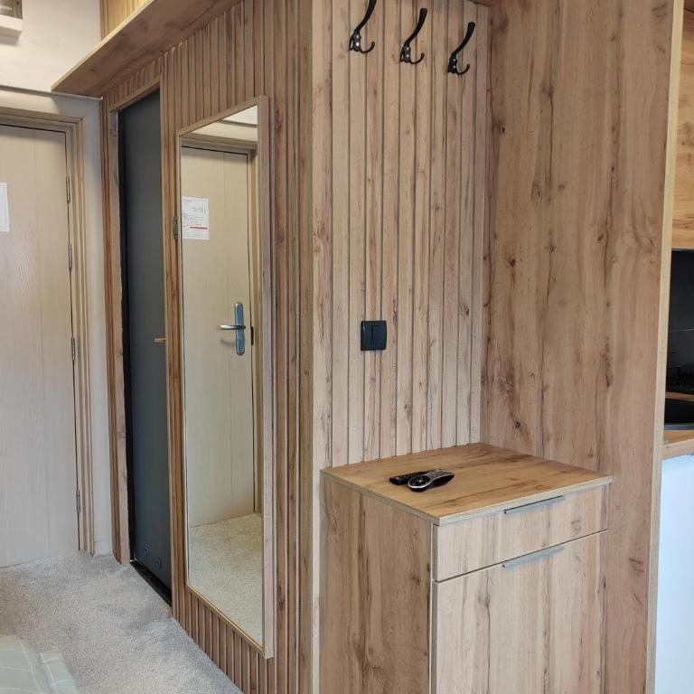 Kopaonik centar - Konaci, lux apartment ANDREA - One-Bedroom Apartment - 10