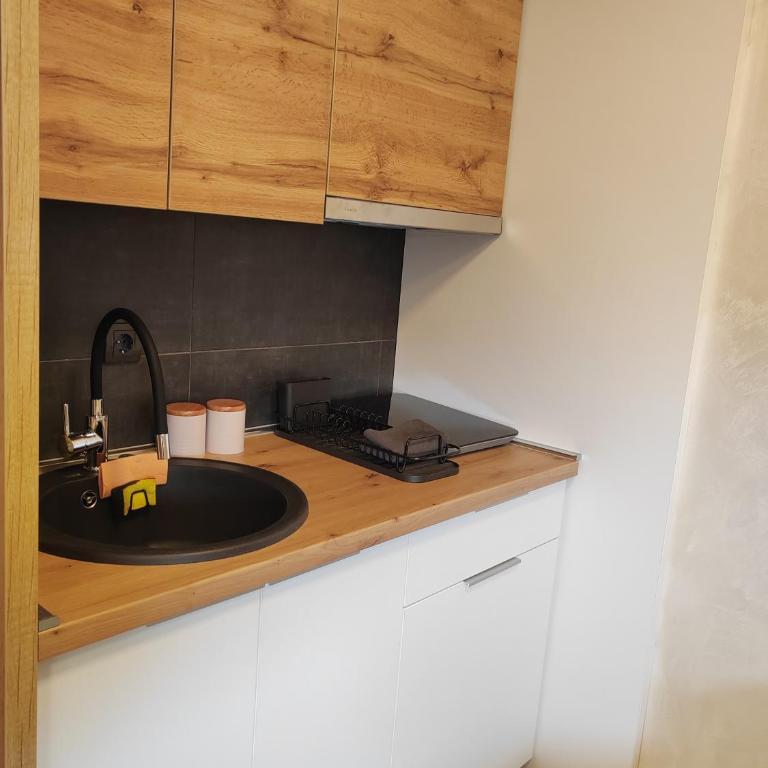 Kopaonik centar - Konaci, lux apartment ANDREA - One-Bedroom Apartment - 12