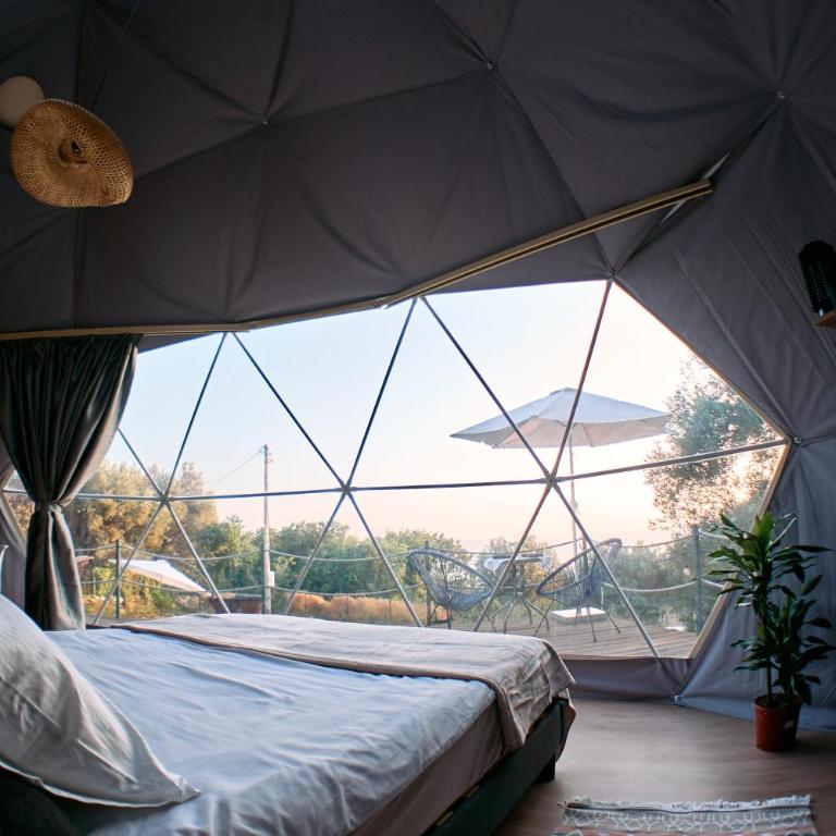 GO Glamping - Tent - 7