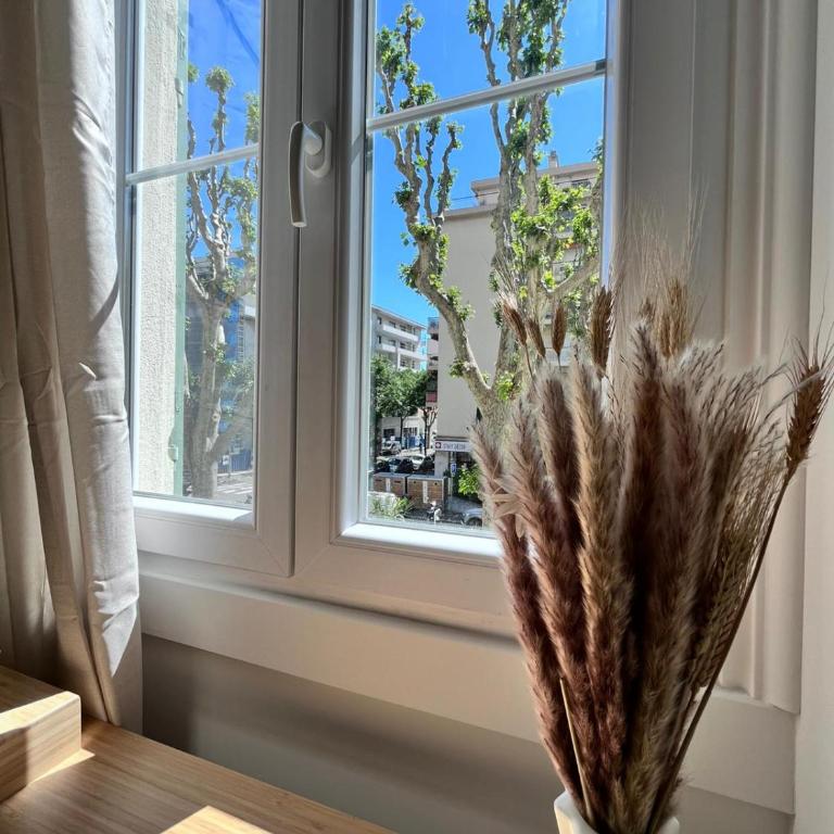 Ref 118 Oliviera 2 Beds Apartment in Riquier - Appartement 2 Chambres - 5