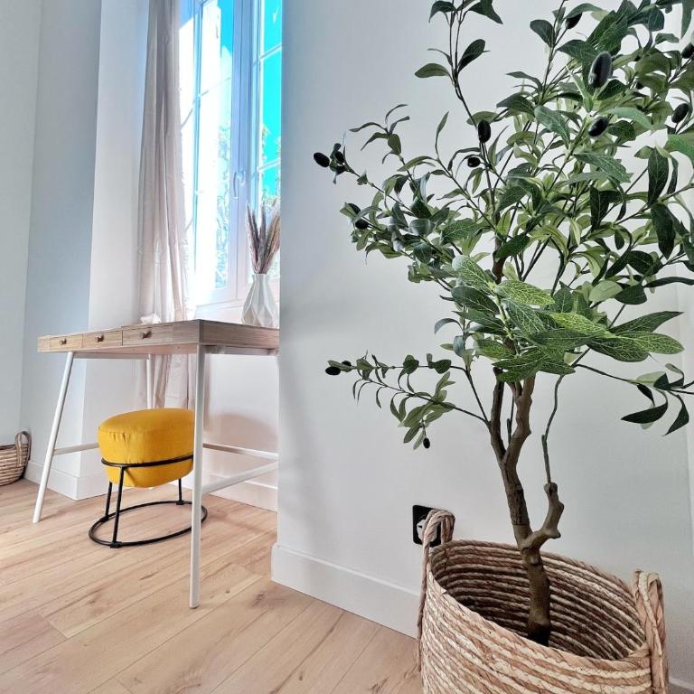 Ref 118 Oliviera 2 Beds Apartment in Riquier - Appartement 2 Chambres - 21