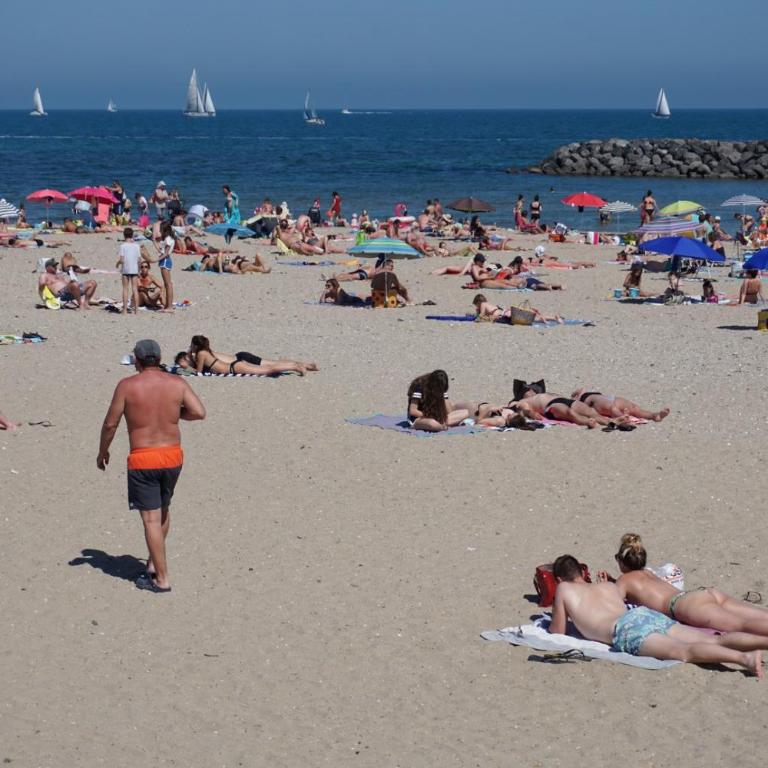 Vue mer à la plage du Môle - Clim - Fibre Wifi - Appartement 2 Chambres - 31