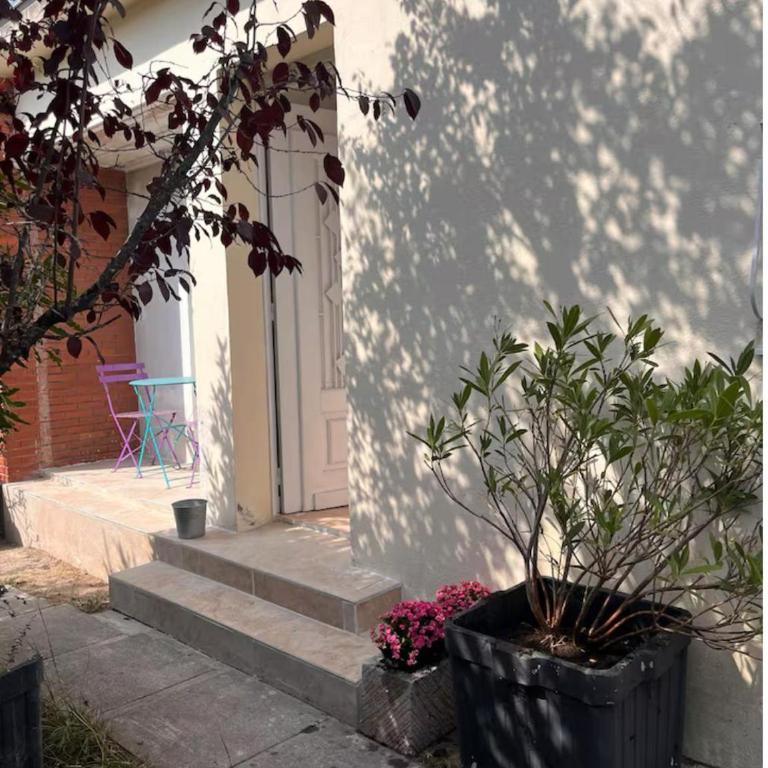 Maison Nova - Appartamento con 2 Camere da Letto - 1