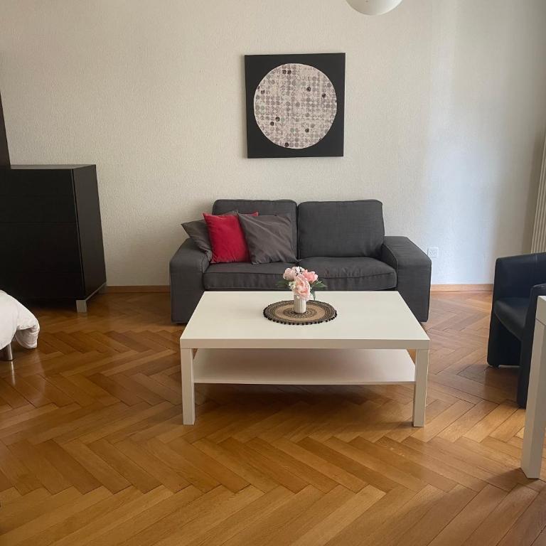 Appartement clame 6 minutes de la gare de Lausanne - Apartment mit 1 Schlafzimmer - 3