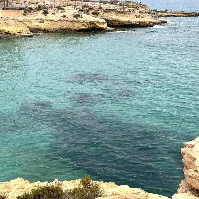 Apartamento frente al mar en El Campello - Apartamento de 3 dormitorios - 56