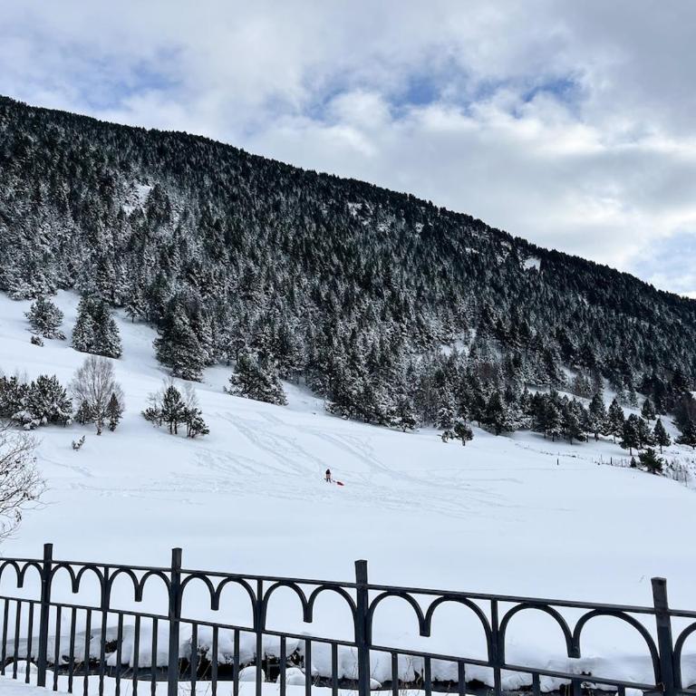 Rustic Retreat in Incles Valley Free Parking Mountain Views l by BonesVacances - Apartamento de 2 dormitorios - 35