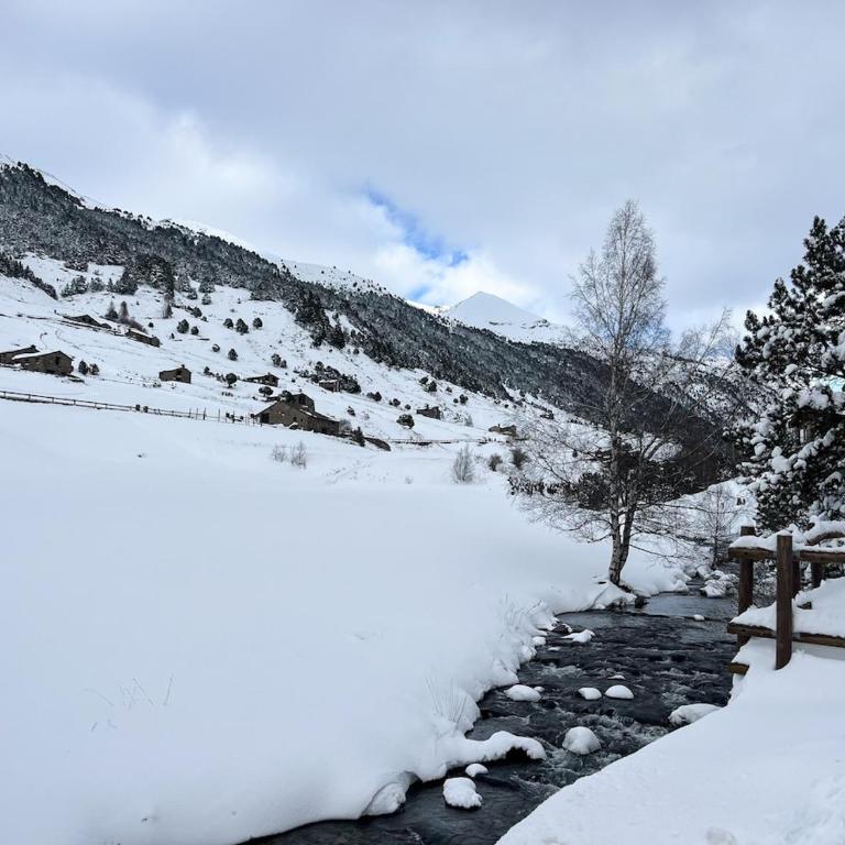 Rustic Retreat in Incles Valley Free Parking Mountain Views l by BonesVacances - Apartamento de 2 dormitorios - 53