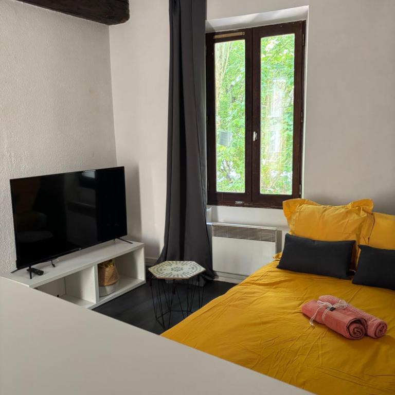 A 4 mn de Grenette Hypercentre - Appartement 1 Chambre - 7