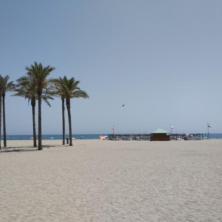 Apartamento del tilo - Two-Bedroom Apartment - 2