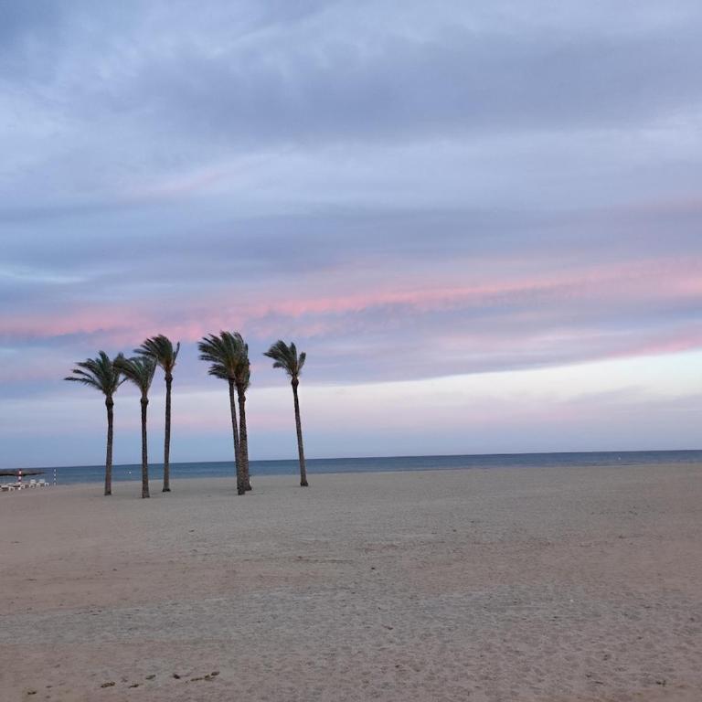 Apartamento del tilo - Two-Bedroom Apartment - 28