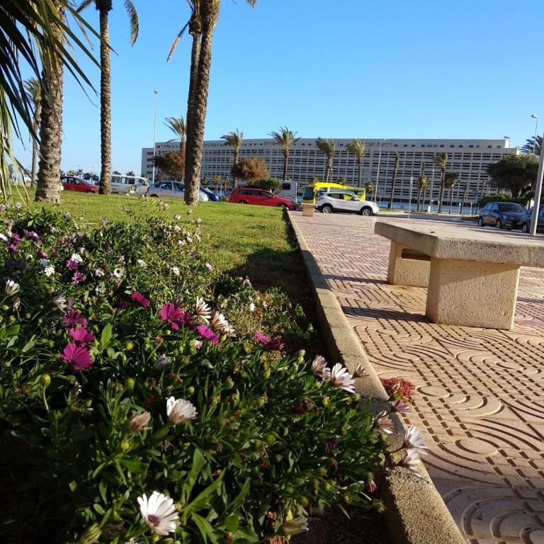 Apartamento del tilo - Two-Bedroom Apartment - 46