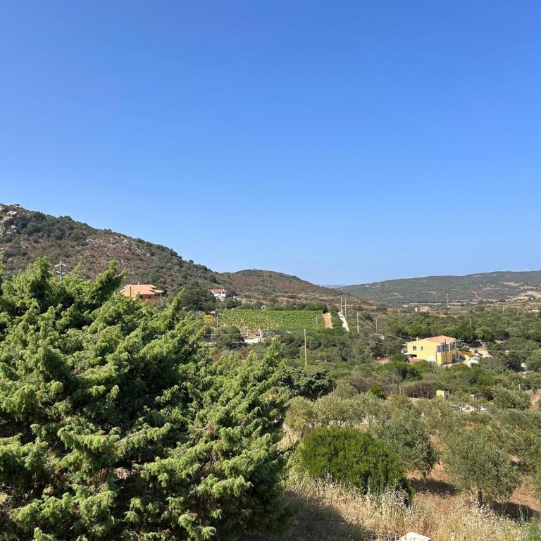 Vita di Campagna - Palau - Casa con 2 Camere da Letto - 15