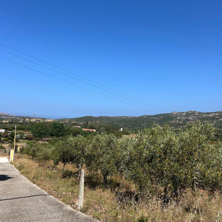 Vita di Campagna - Palau - Casa con 2 Camere da Letto - 23