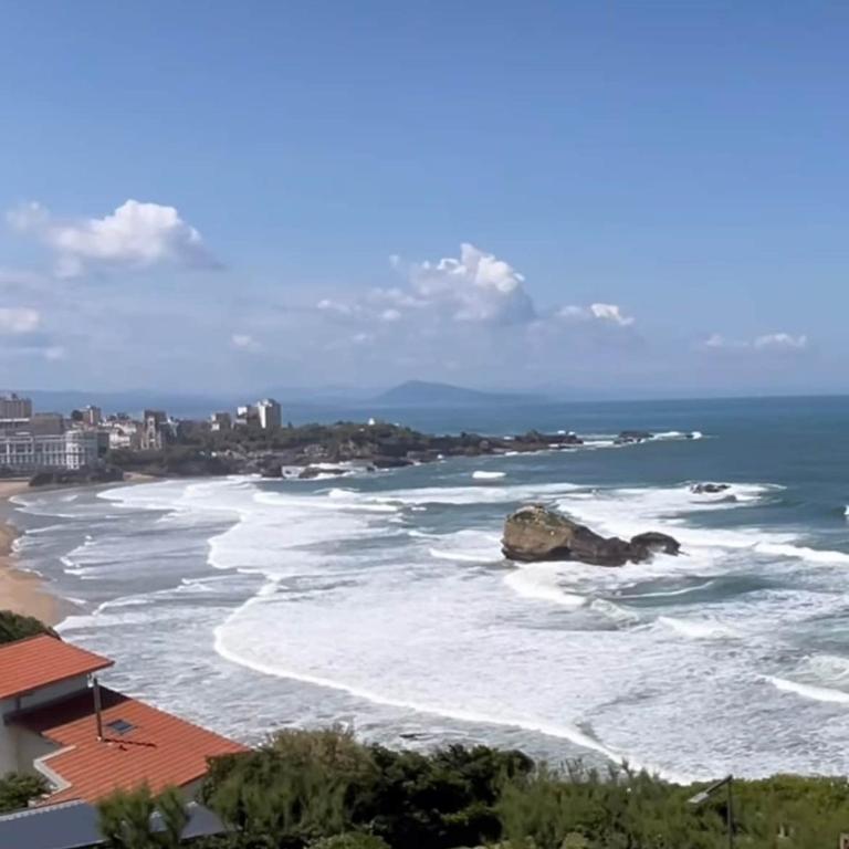 Studio Résidence Régina et golf vue mer - Studio - 13