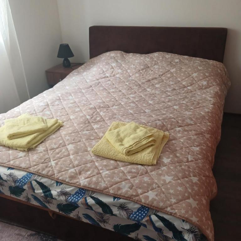 Apartman Stojadinovic - Apartman sa 1 Spavaćom Sobom - 2