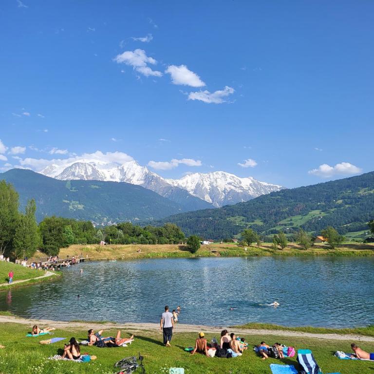 Dans un village savoyard a 1000 m d'altitude bel appartement spacieux de140m2 avec vue magnifique sur la montagne - Appartement avec Vue sur la Montagne - 34