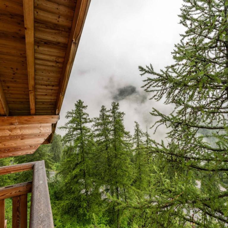 Résidence Le Balcon Des Airelles - Appartement rénové avec jolie vue sur la vallée MAE-6774 - Apartamento - 6