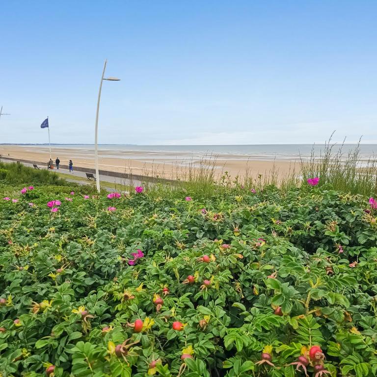 South-facing terrace, direct beach access - Appartement 1 Chambre - 26