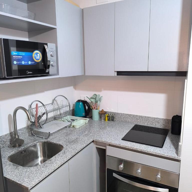 Departamento Parque O'Higgins - Apartamento de 1 dormitorio - 3