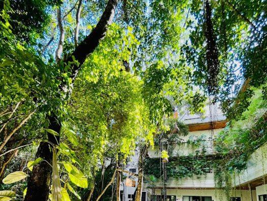A beautiful family apartment with a private pool A7 - Two-Bedroom Apartment - 26