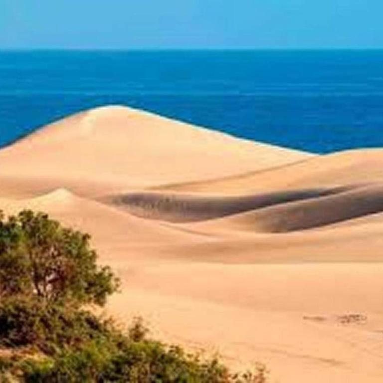 Bungalow in Maspalomas near Golf Course - One-Bedroom Bungalow - 37