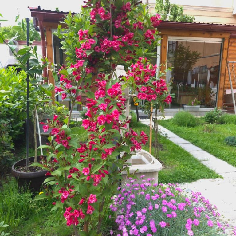 Apartment Smoli - Apartman sa 1 Spavaćom Sobom - 17