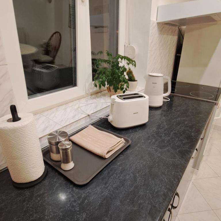 Apartman Pavle - One-Bedroom Apartment - 11