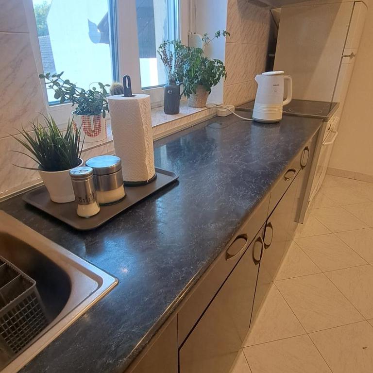Apartman Pavle - One-Bedroom Apartment - 9