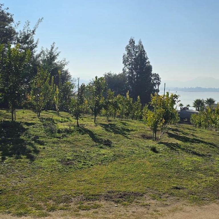 Casa Lago Rapel - Casa de 3 dormitorios - 26