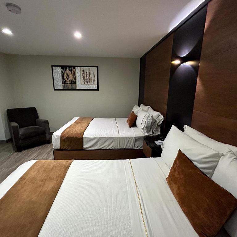 Hotel Dali Plaza Ejecutivo - Standard Double Room with Two Double Beds - No view - 3