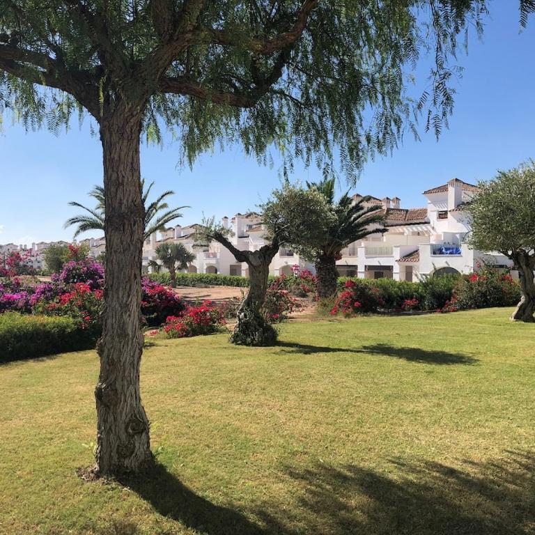 Vista Verde Oasis - Apartamento de 2 dormitorios - 4