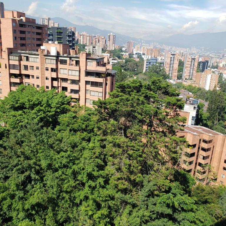 Apartamento en medio de la Naturaleza - One-Bedroom Apartment - 1