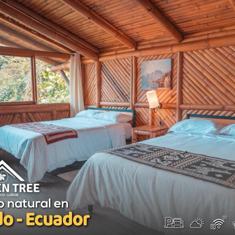 GOLDEN TREE MINDO ECO-LODGE - Habitación Doble Familiar - 1