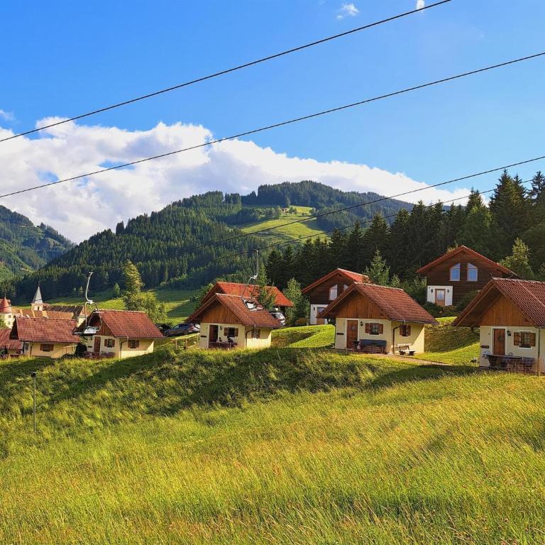 Holiday home in Gaal im Murtal in a beautiful setting - Ferienhaus - 7