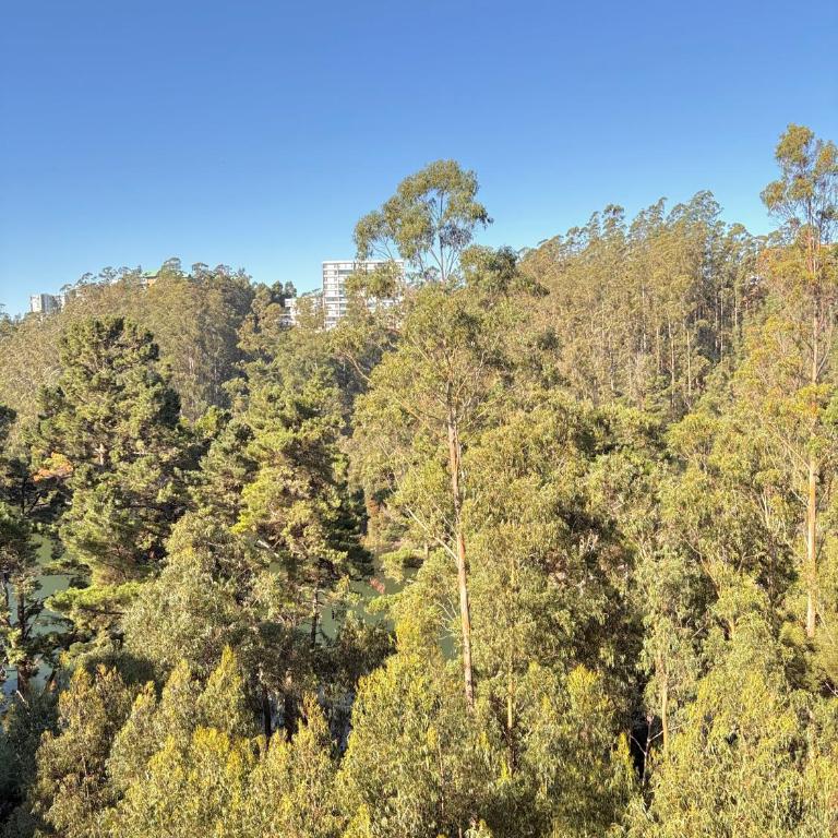 Moderno y exclusivo depto con vista a la laguna grande - Two-Bedroom Apartment - 29