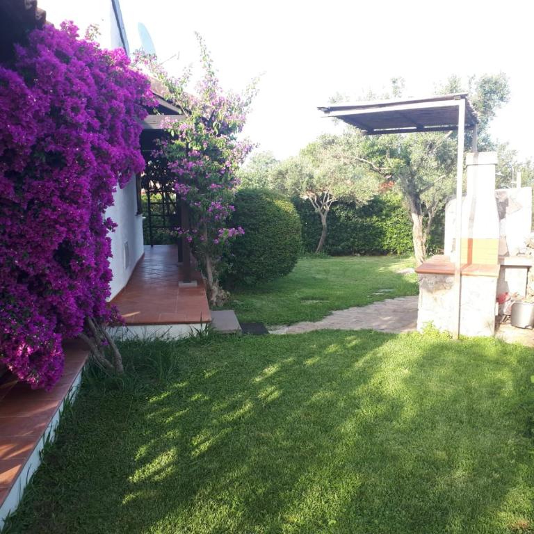 Villetta Bouganville - Casa Vacanze - 25