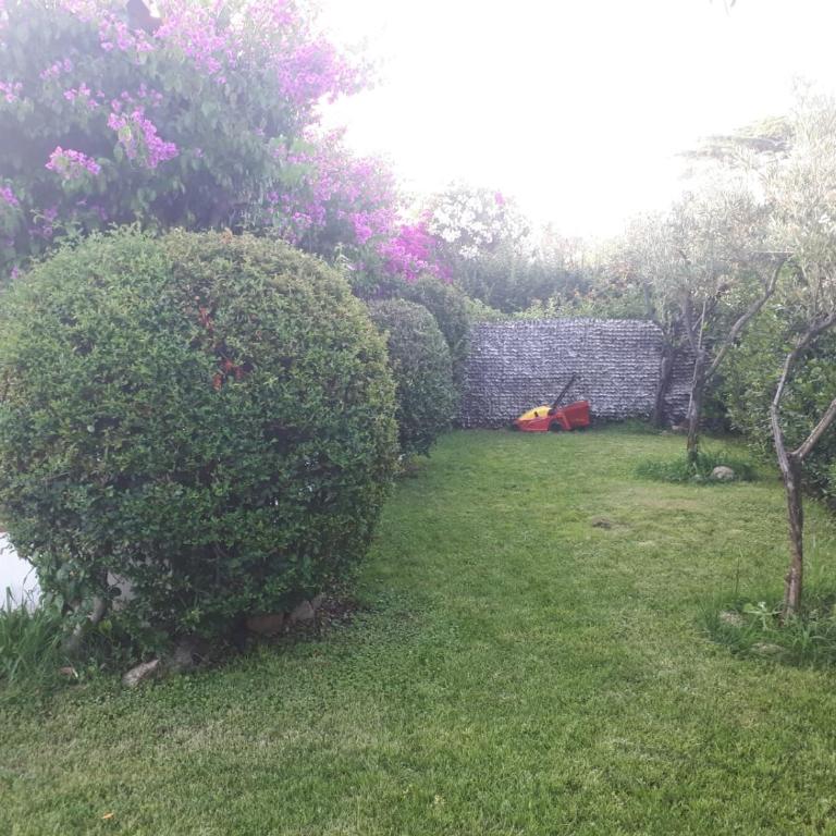 Villetta Bouganville - Casa Vacanze - 29